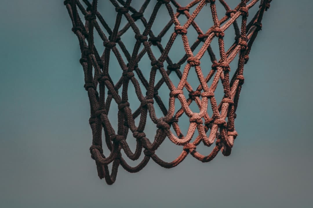 Basketball hoop and net